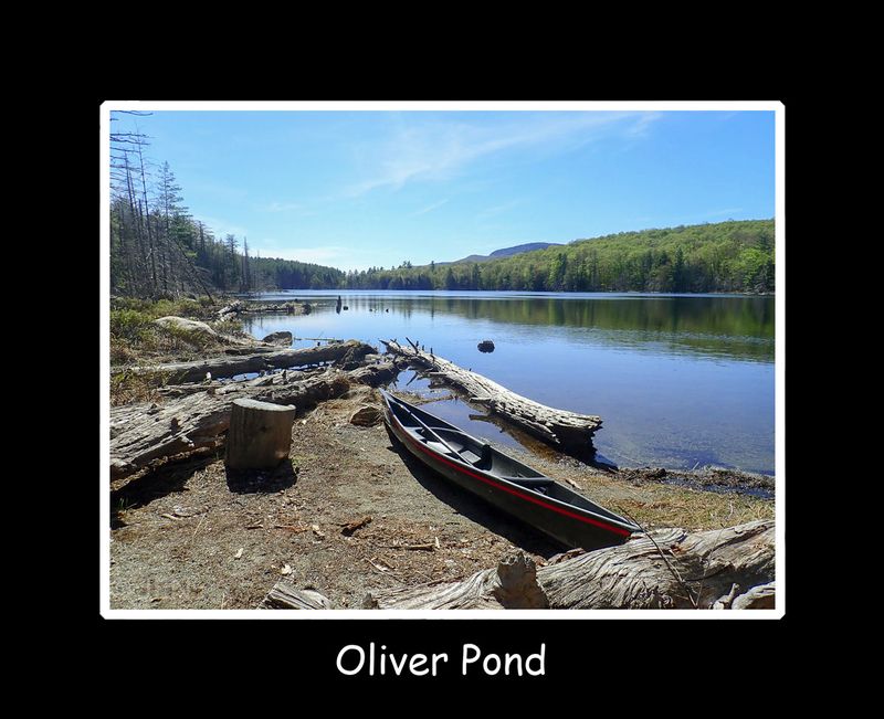 oliver pond title.jpg