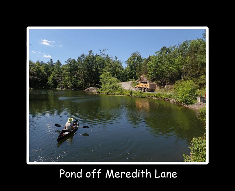 Meredith Lane pond title.jpg