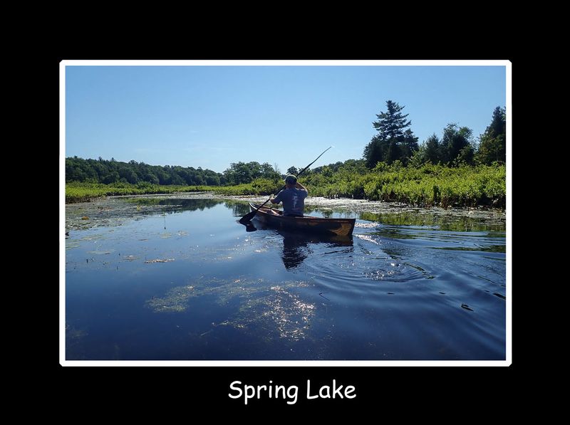 spring lake title.jpg