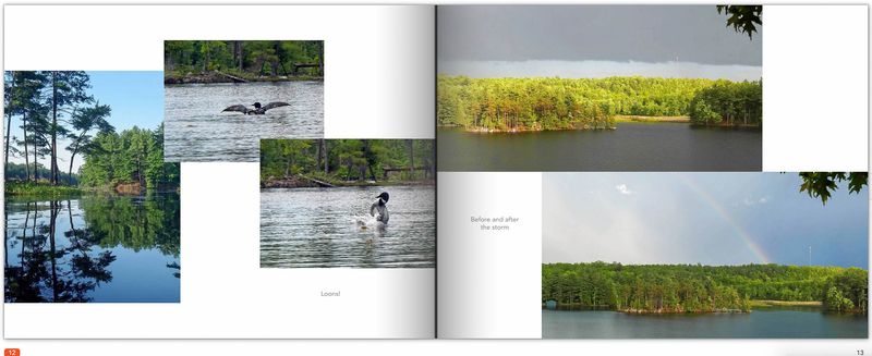 page12 cottage.jpg
