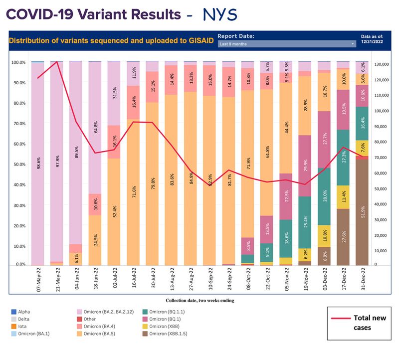 12-31-22 variants in NYS.jpg