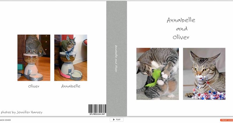 Kitties Photo Book