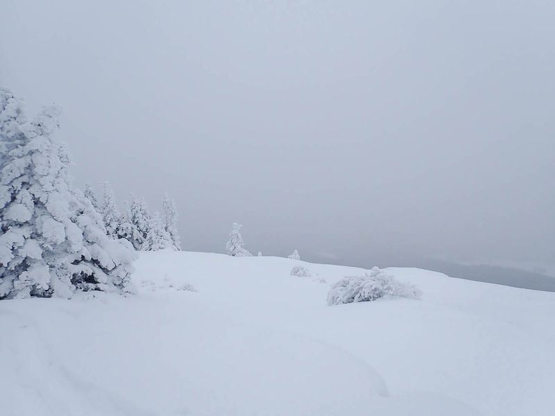 P1257925 TG6MLR2023.jpg
