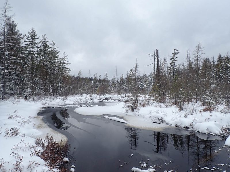 P1278107 TG6MLR2023.jpg
