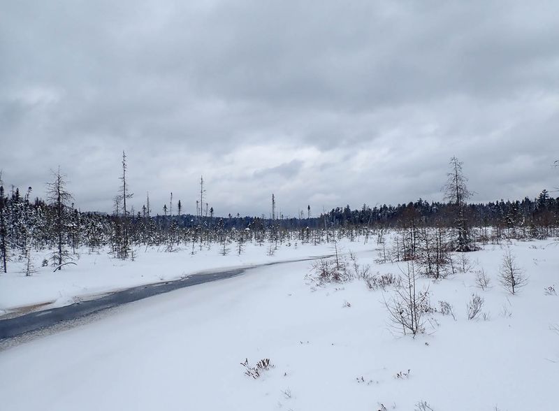 P1278109 TG6MLR2023.jpg