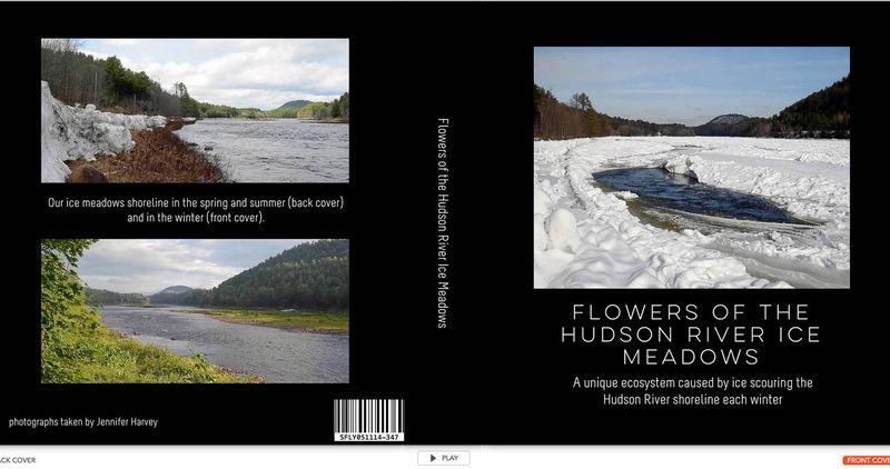 flower cover TG6MLR2020.jpg