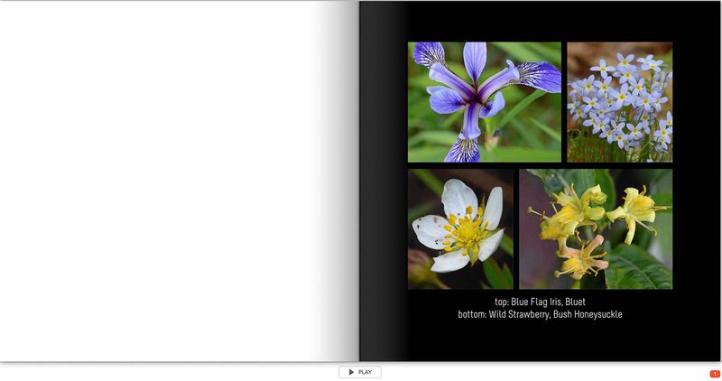 flower page 1 TG6MLR2020.jpg