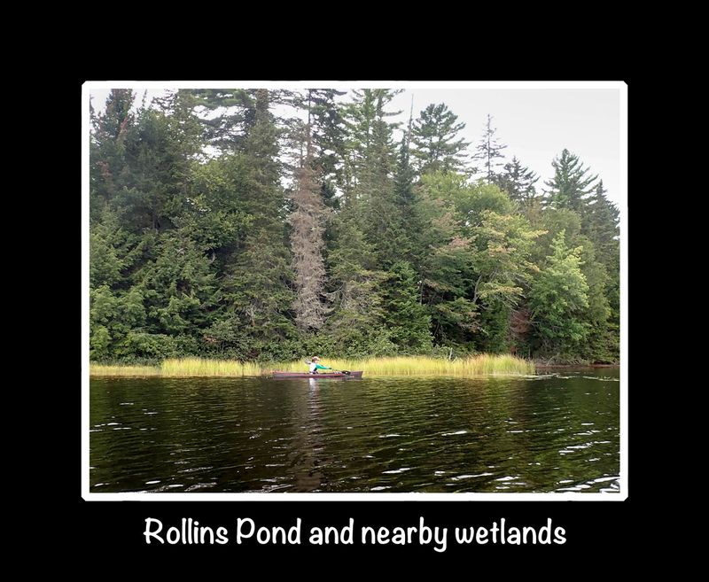 Rollins Pond title.jpg