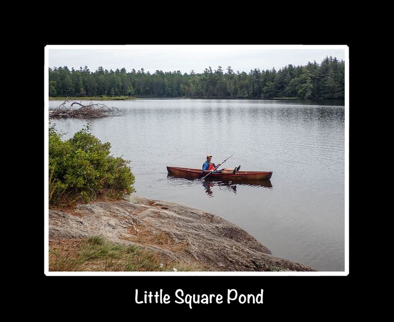 Little square pond title.jpg