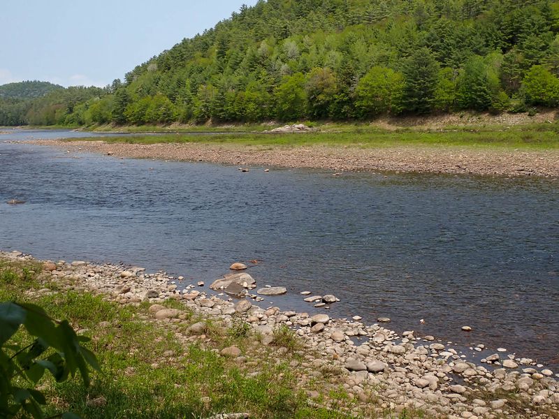 P5229833 TG6MLR2023.jpg