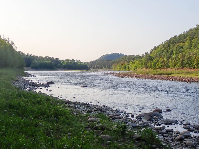 P5279874 TG6MLR2023.jpg