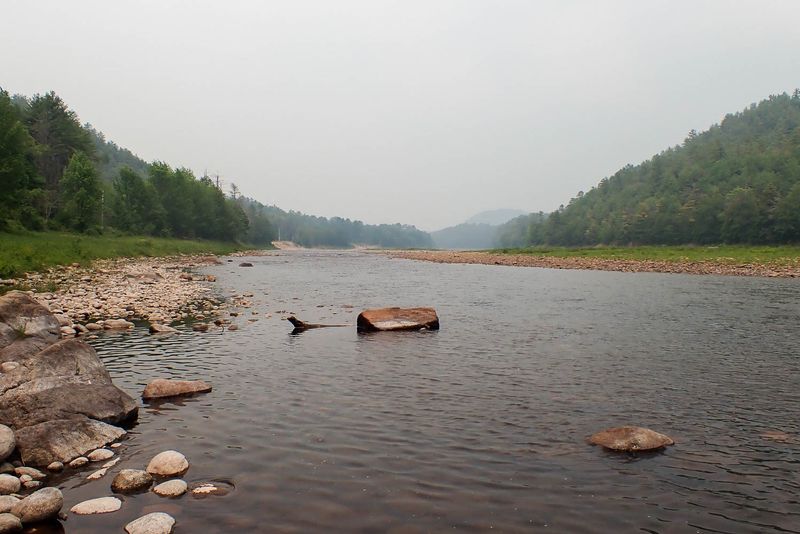 P6060035 TG6MLR2023.jpg