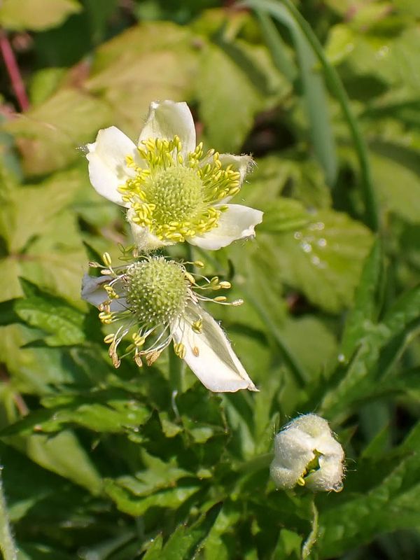 P6110284 TG6MLR2023.jpg