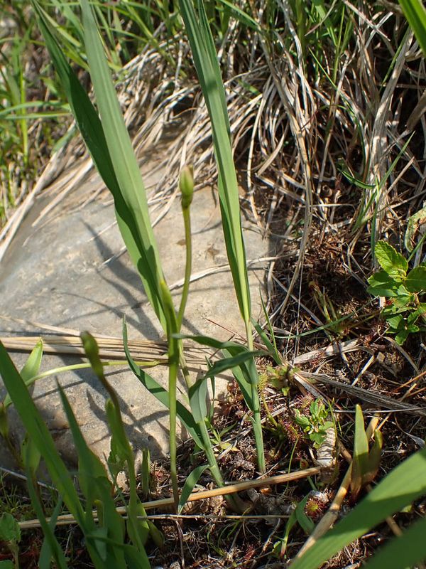 P6110287 TG6MLR2023.jpg