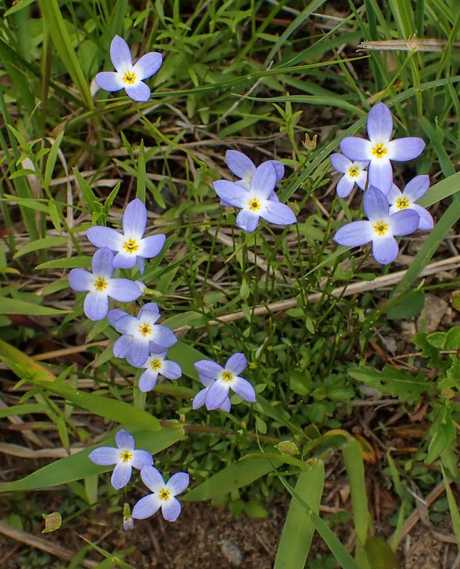 P6110368 TG6MLR2023.jpg