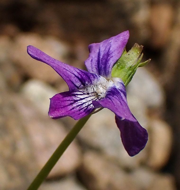 P6110403 TG6MLR2023.jpg