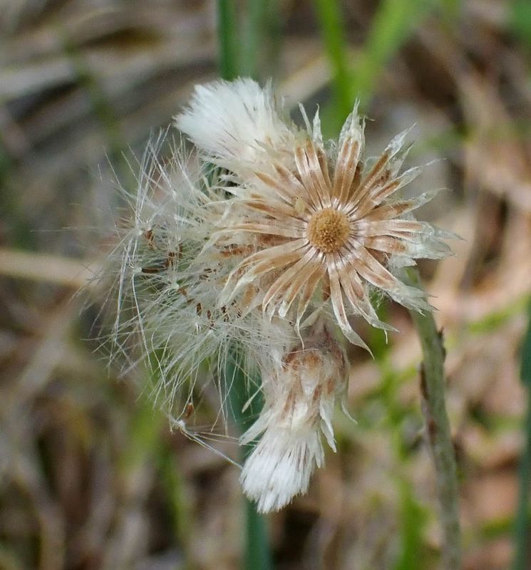 P6110455 TG6MLR2023.jpg