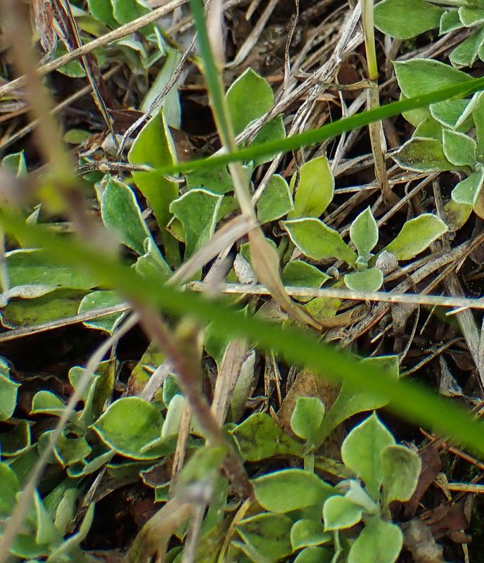 P6110457 TG6MLR2023.jpg