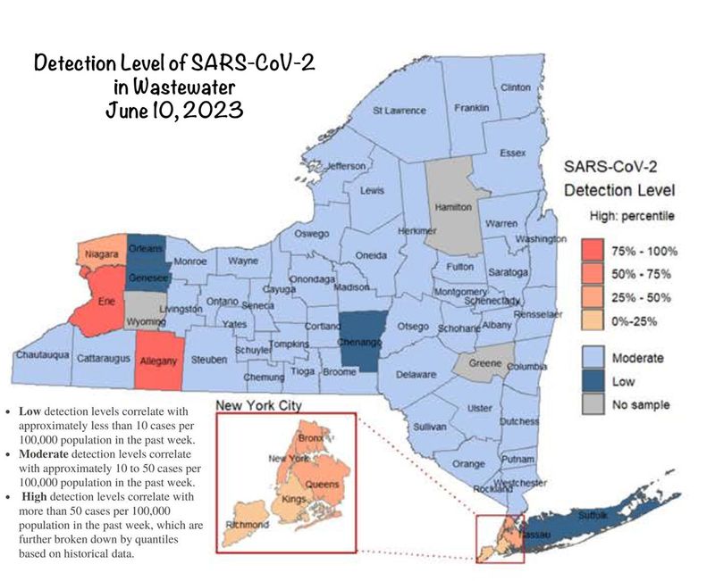 6-10-23 SARS level in wastewater - NYS.jpg