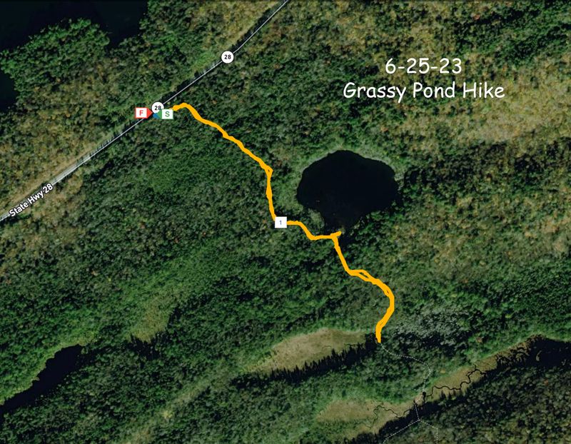 6-25-23 Grassy hike.jpg