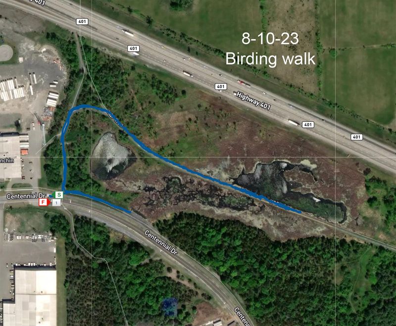 8-10-23 bird walk map.jpg