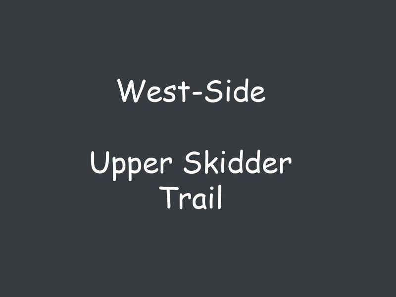 Upper Skidder.jpg