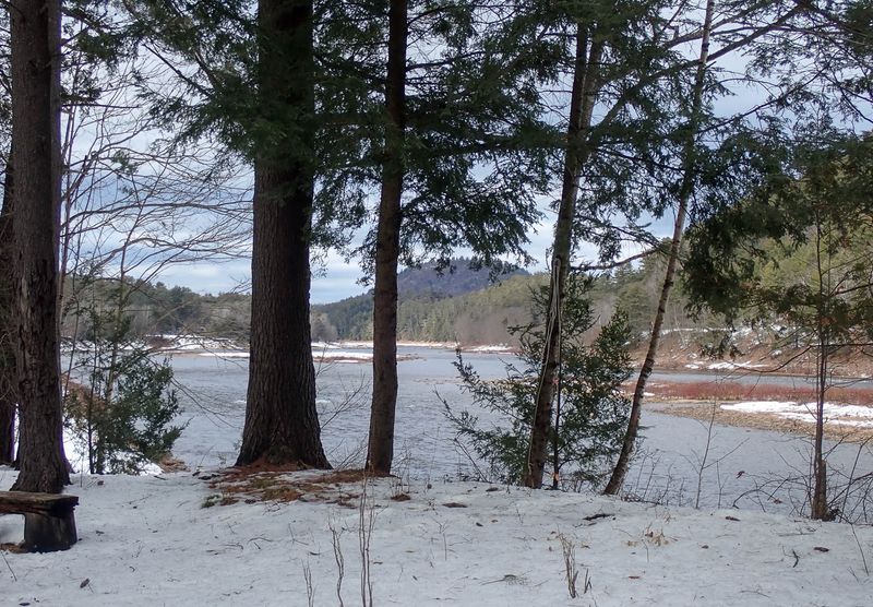 P2115015 TG6MLR2023.jpg