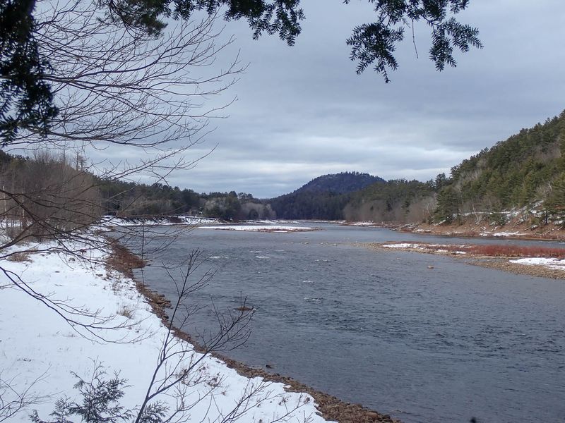 P2115017 TG6MLR2023.jpg