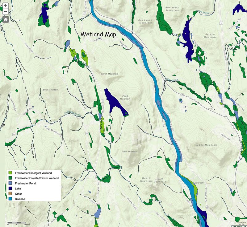 wetland map 1000h.jpg