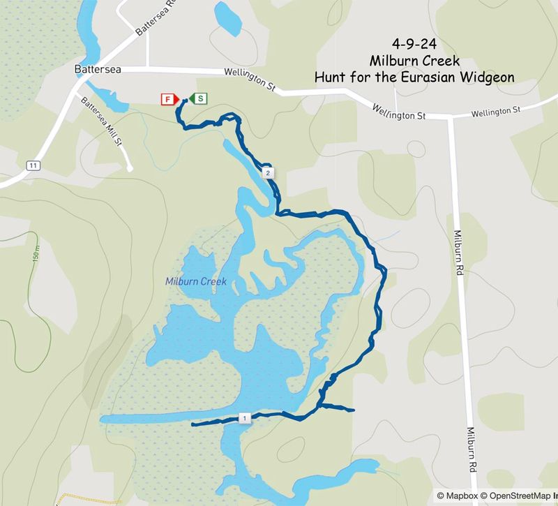 4-9-24 Milburn hike.jpg