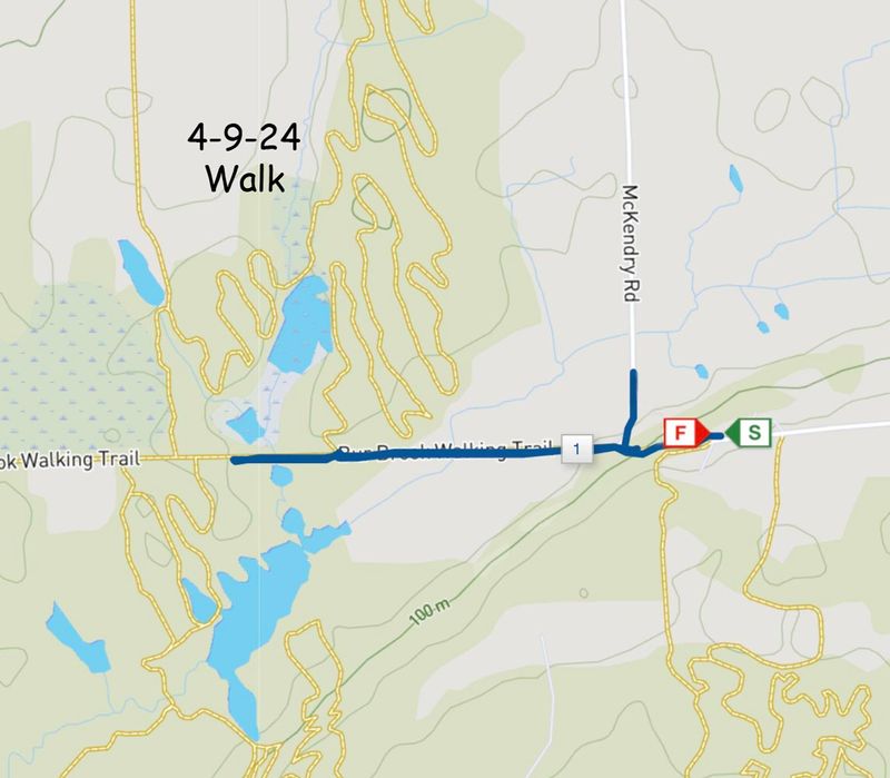 4-9-24 hike 2 map.jpg