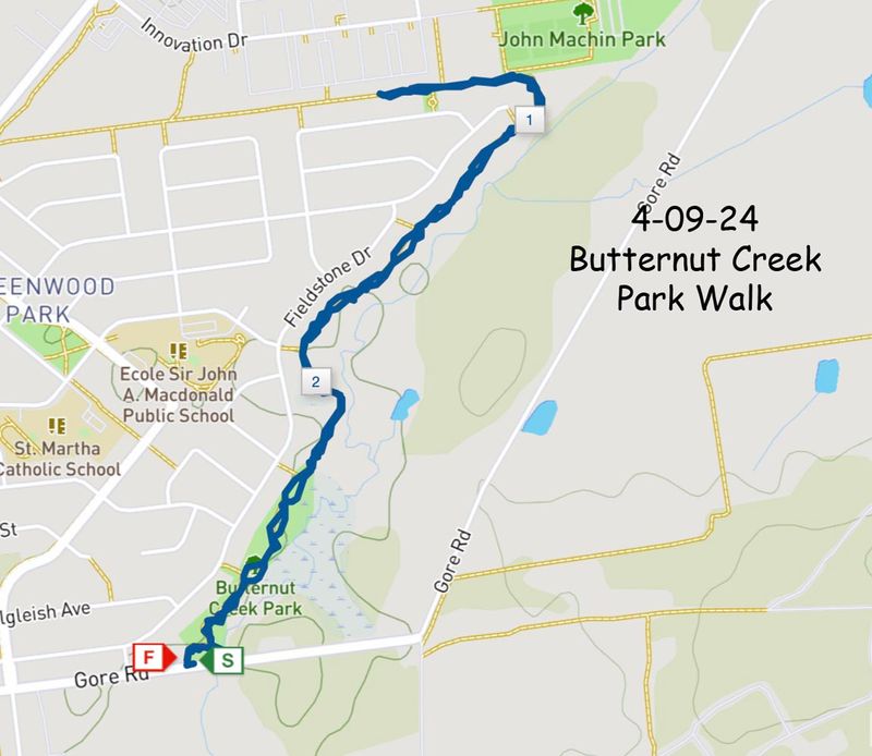 4-9-24 butternut walk map.jpg