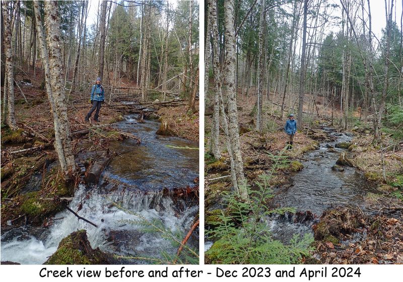 creek view before and after.jpg