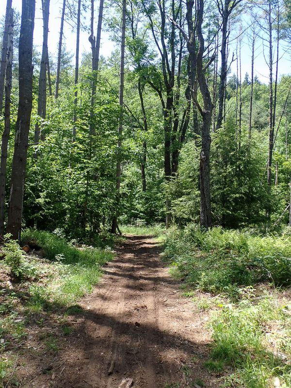 P6016206 TG6MLR2023.jpg