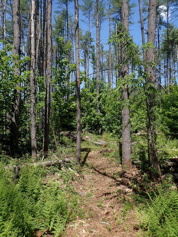 P6016218 TG6MLR2023.jpg