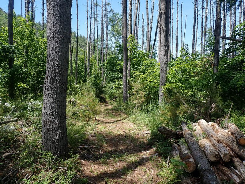 P6016219 TG6MLR2023.jpg