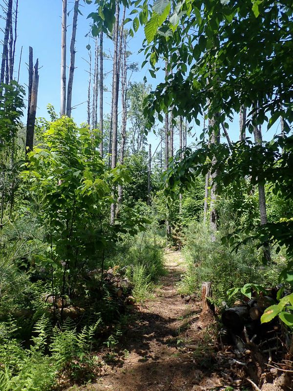 P6016220 TG6MLR2023.jpg