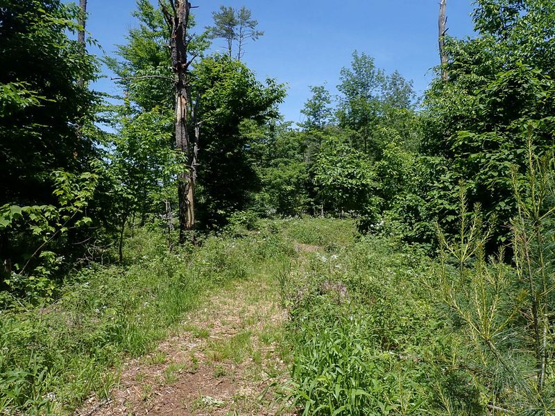 P6016222 TG6MLR2023.jpg