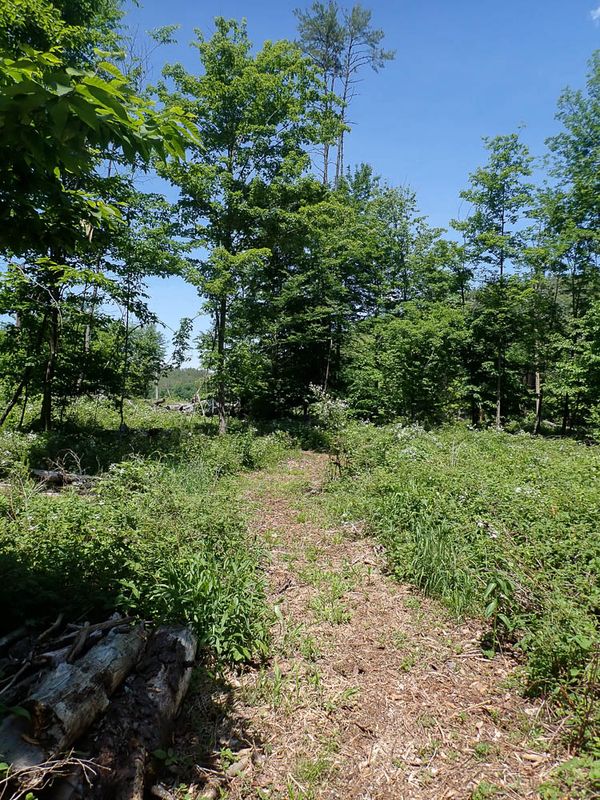 P6016223 TG6MLR2023.jpg