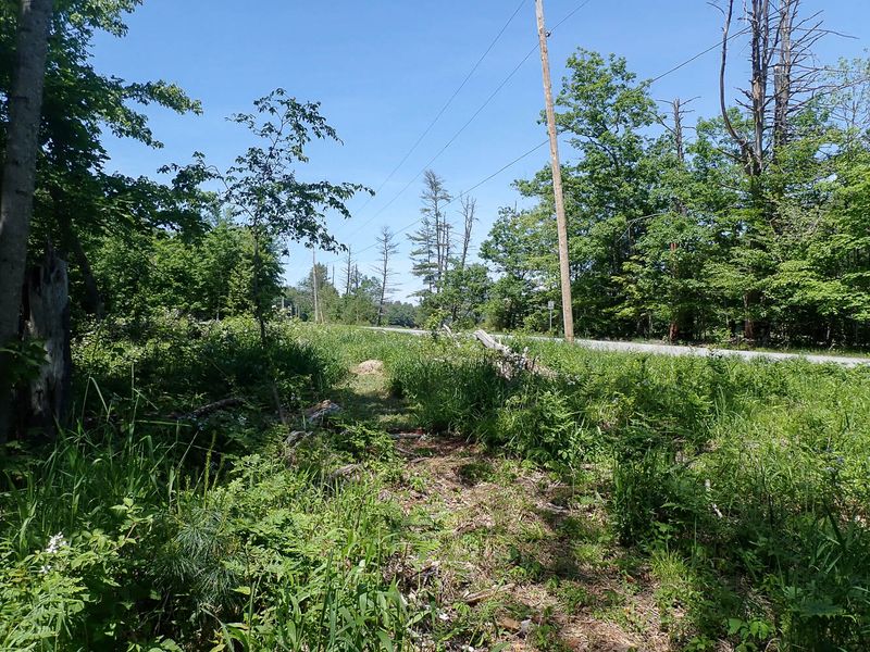 P6016226 TG6MLR2023.jpg
