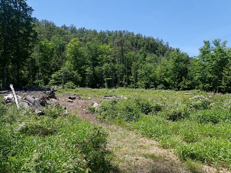 P6016228 TG6MLR2023.jpg