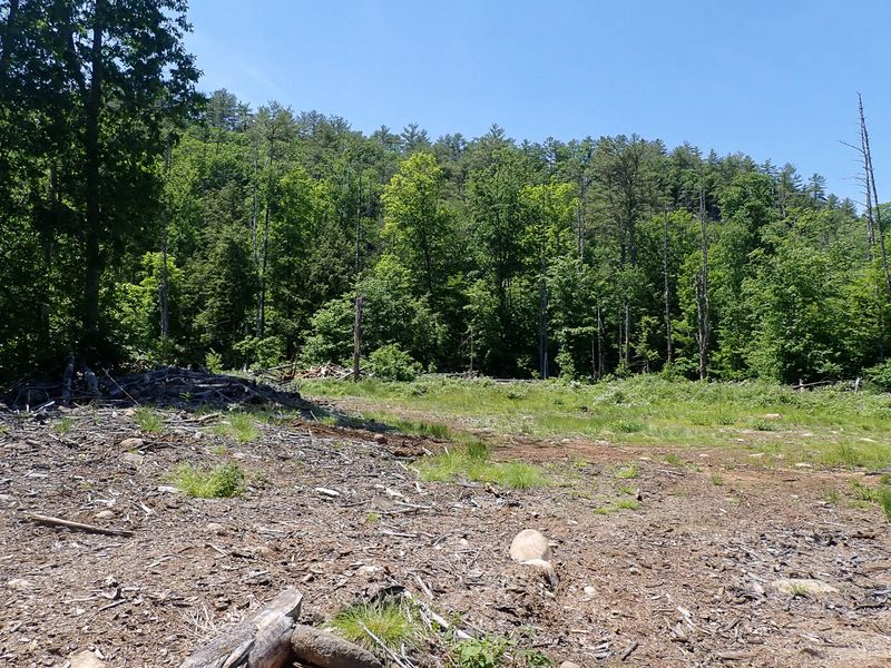 P6016229 TG6MLR2023.jpg