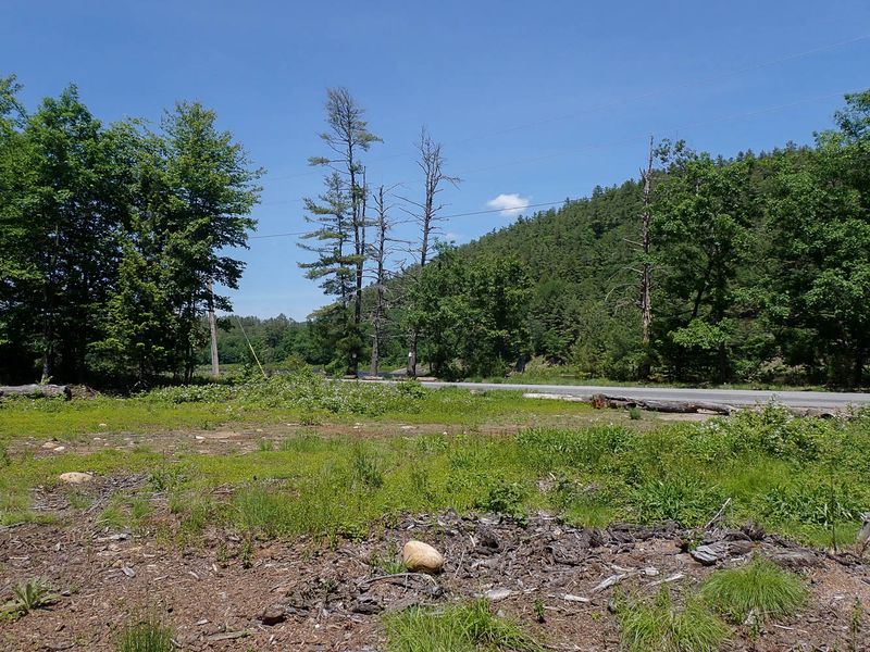 P6016231 TG6MLR2023.jpg