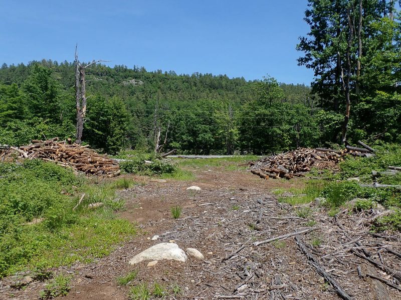 P6016235 TG6MLR2023.jpg