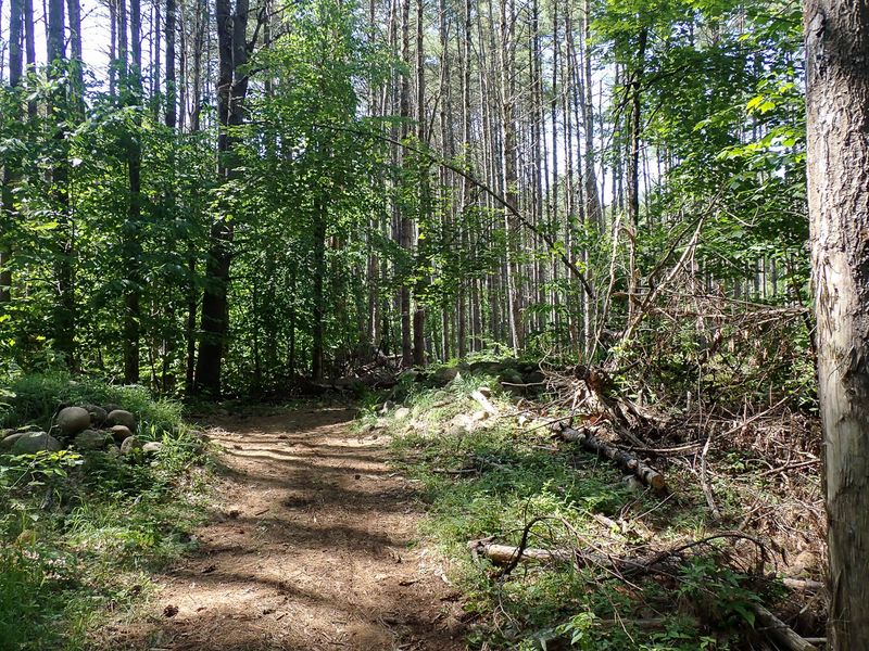 P6016274 TG6MLR2023.jpg