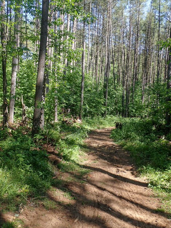 P6016282 TG6MLR2023.jpg