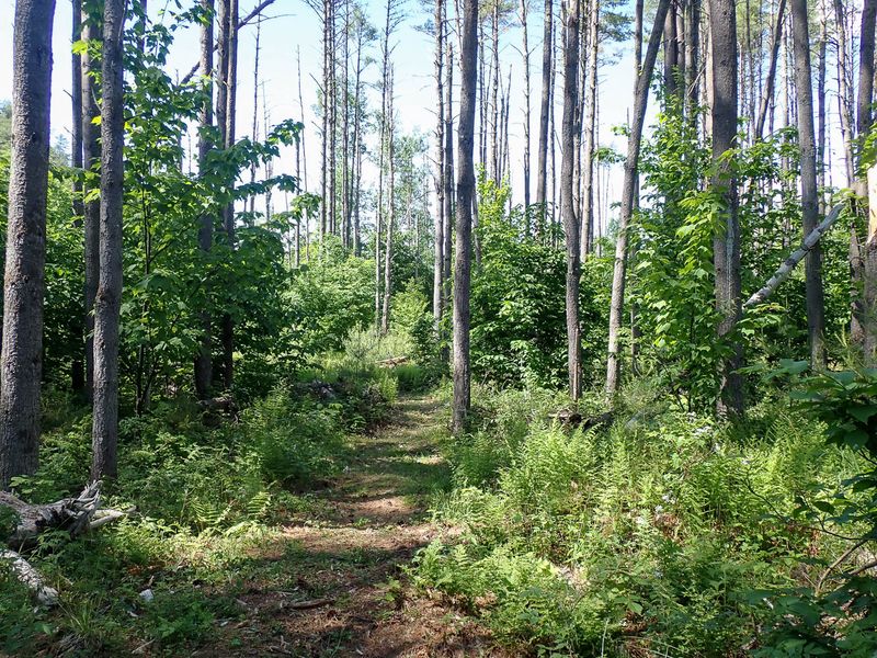 P6016293 TG6MLR2023.jpg