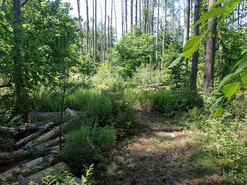 P6016294 TG6MLR2023.jpg