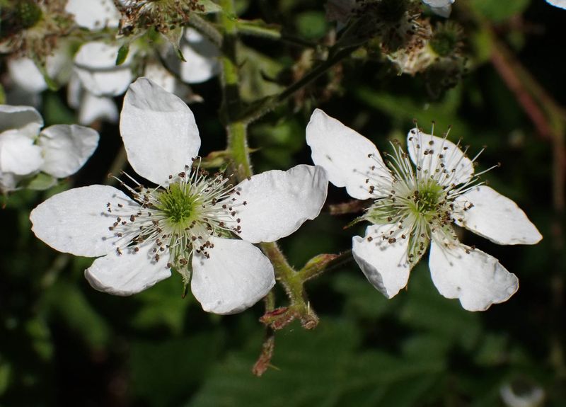 P6016236 TG6MLR2023.jpg