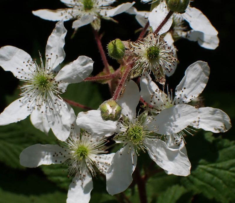P6016238 TG6MLR2023ps.jpg